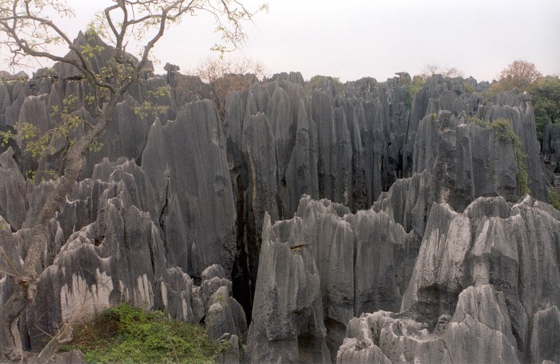 Jagged Karst of Stone Forest