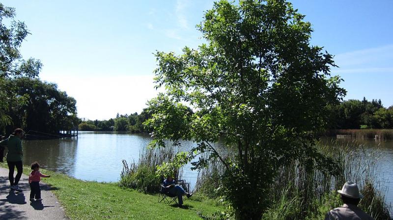 IMG_5774.JPG