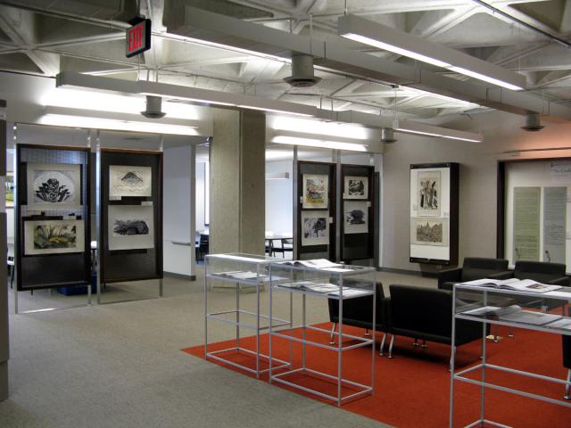 04 Library Exh Display_20090609_04.jpg