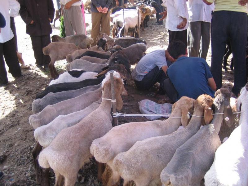 27q kashgar(07).jpg