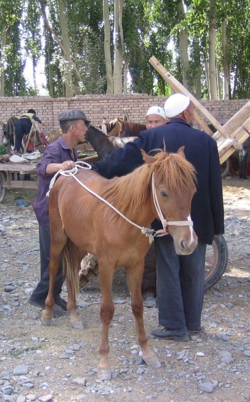 27r kashgar.jpg
