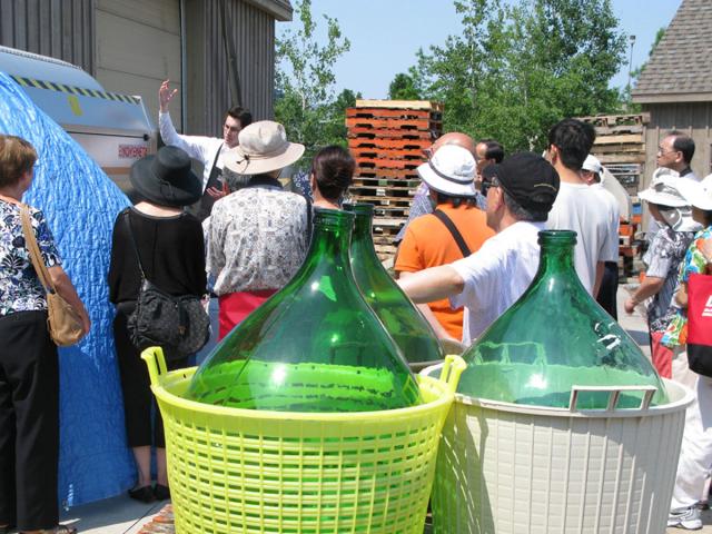 11. How the wine is made 1.jpg