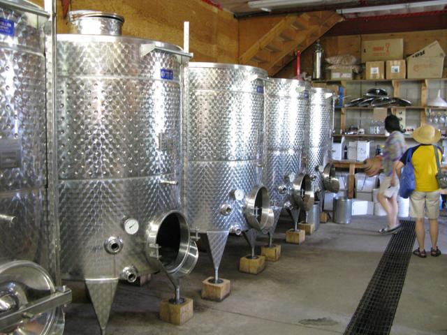15. Inside the winery 1.jpg