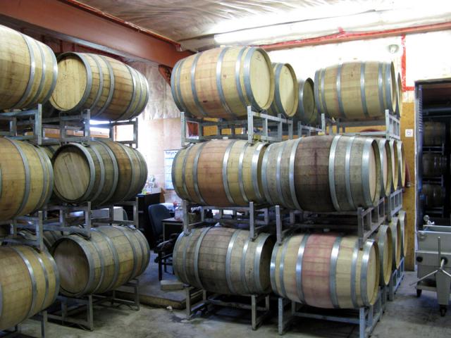 16. Inside the winery 2.jpg