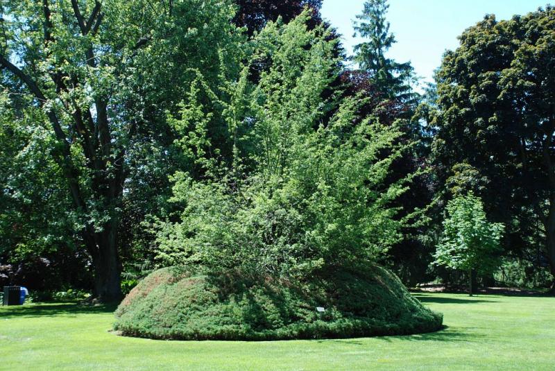 parkwood 06.jpg