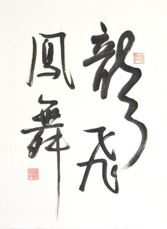 龍飛鳳舞