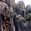 Quiet Beauty of Stone Forest