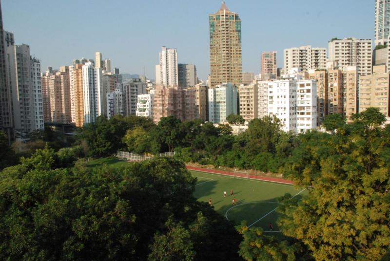 DSC_6213.JPG