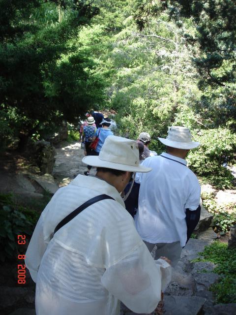 DSC05296