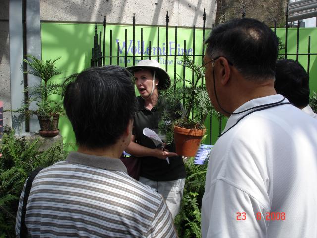 DSC05302