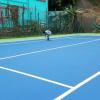 Tennis Court Repair _5