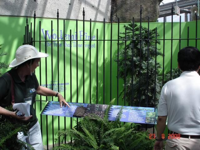 DSC05301