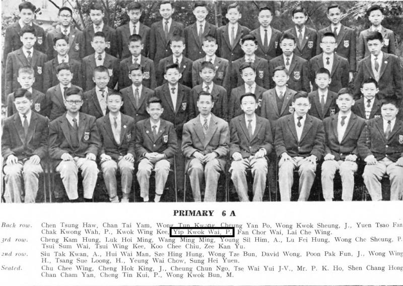 P6A