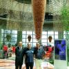 IMG-20160725-WA0016