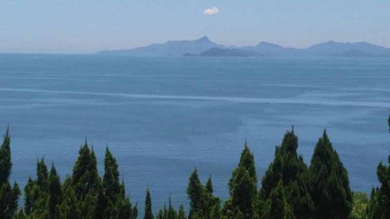 IMG-20160726-WA0008