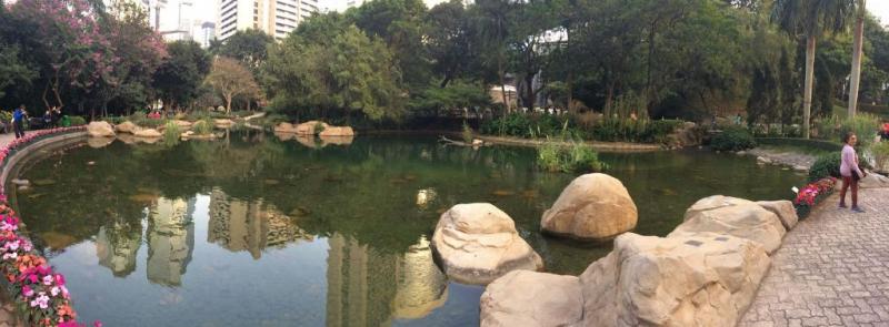 The park