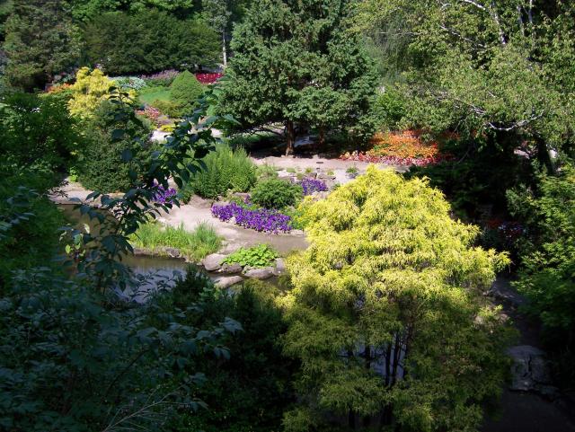 100_1024.JPG