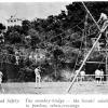 66_ParentsDay-Monkey Bridge
