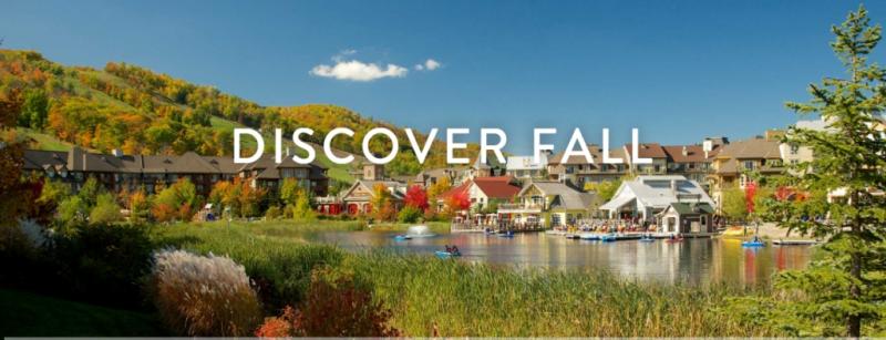 discover fall