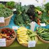 bell 362 veggies.jpg
