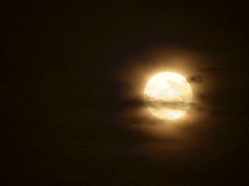 Silvery moon 皓月