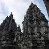 P1020596_a