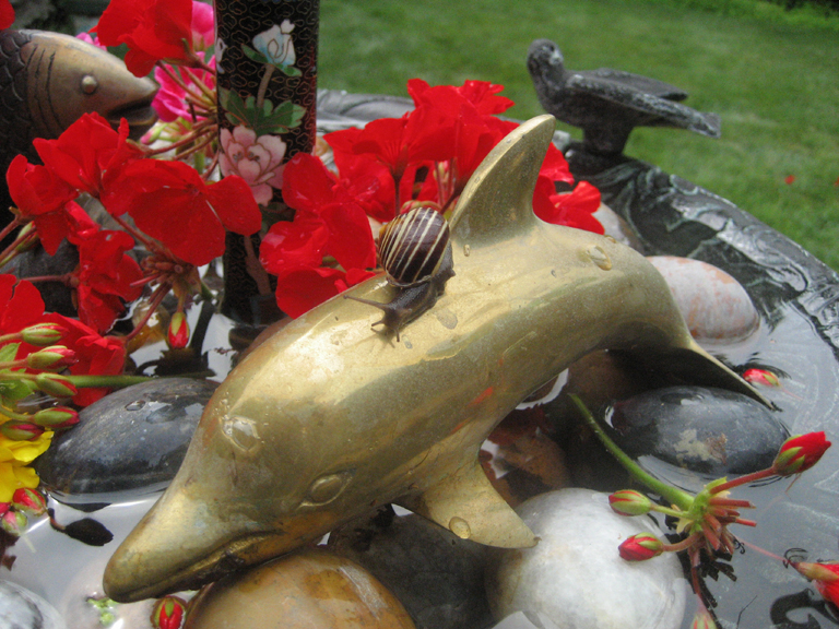 snail on copper dolphin